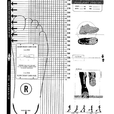 Printable Shoe Size Chart Activity Shelter